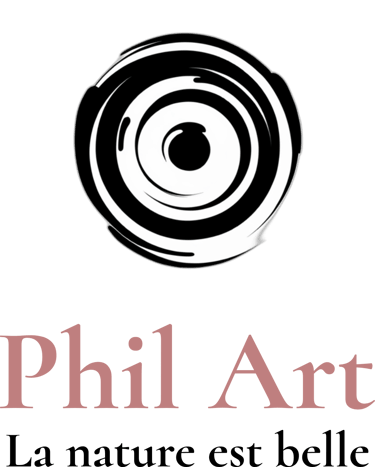 Phil Art logo