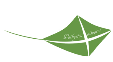 VšĮ "Vaikystės aitvarai" logo