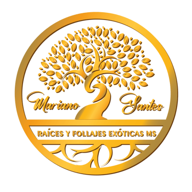 Raíces y Follajes Exóticas MS logo