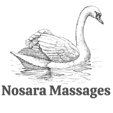 Nosara Massages  logo