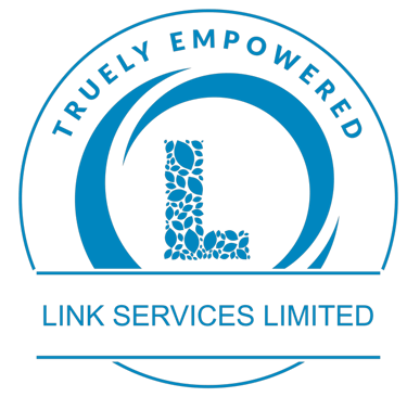 Link Services LTD South Sudan logo