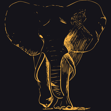 TIDINESSUP logo
