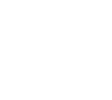 Zenith Game Store logo