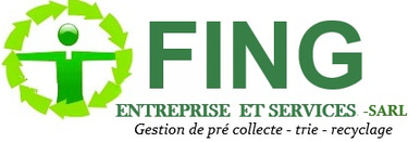 FING ENTREPRISE ET SERVICES logo
