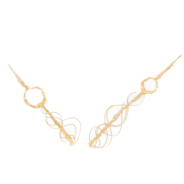 Photographie Horlogère logo