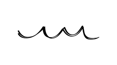Weib Web logo
