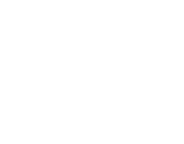 Fibonacci Designing logo