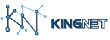 Kingnet jsa logo