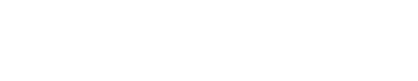 FSX24 logo