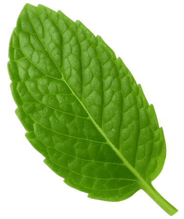 menta digital logo