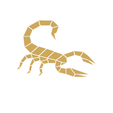 Canally Partners logo