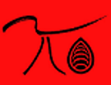 Teracao logo