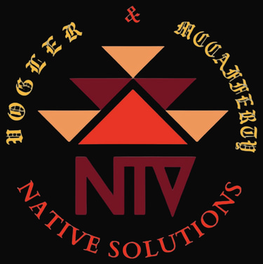 Native solutions logo