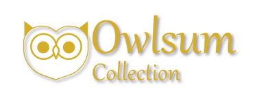OwlSum logo