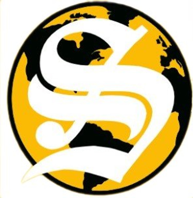 Steffanini B2B Lead Generation Solutions logo