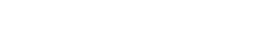 Fiorenta logo