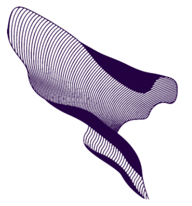 Shikara Electronic Company logo