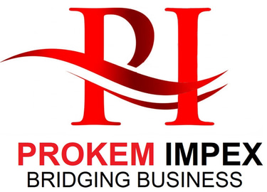 Prokem logo
