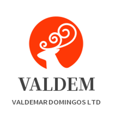 VALDEMAR DOMINGOS LTD logo