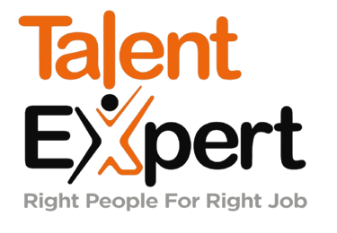 Talent Expert logo