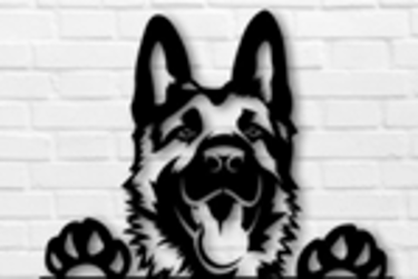 Tucker's OBX Rentals logo