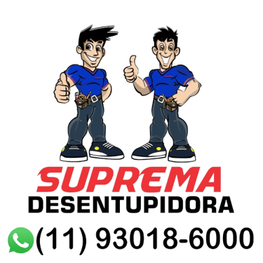 Desentupidora na Lapa logo