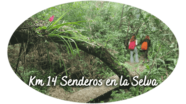 KM 14 SENDEROS EN LA SELVA ELDORADO MISIONES logo