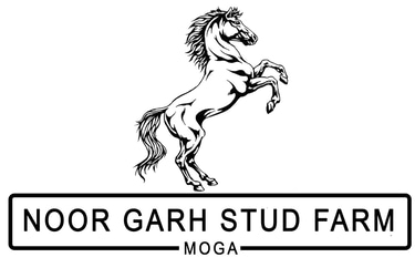 Noor Garh Stud Farm logo