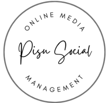 Pisu Consultancy Services logo