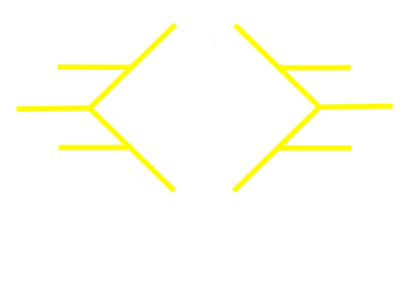 MIS logo