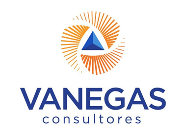 Vanegas Consultores logo