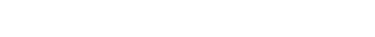 InterNestor GmbH logo