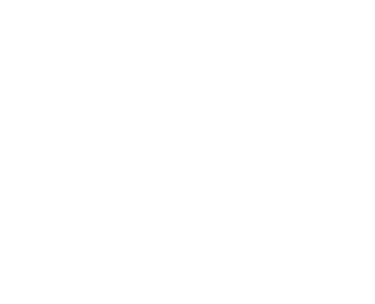 Nice Boyz logo