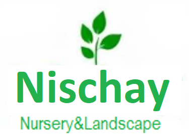 Nischay Nursery logo