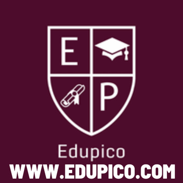 Edupico logo