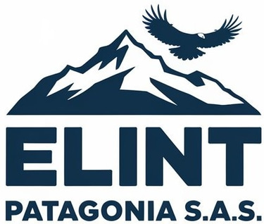 Elint Patagonia logo