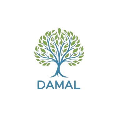 Damal Healthcare logo