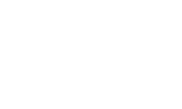 Alina Bobilova Digital Illustration & Design logo