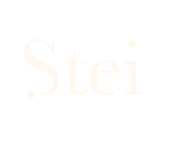 Stei logo