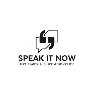 SPEAK IT NOW logo
