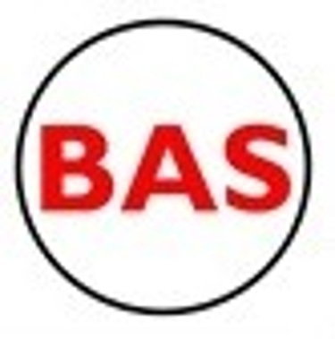 BROADANGLE SOLUTIONS logo