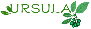 Ursula Ponce De León Villasante logo