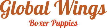 Boxer Puppies for sale logo