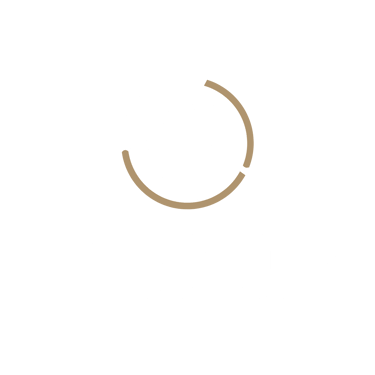 Traumens International logo