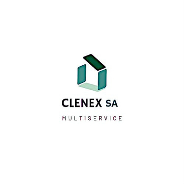 Cleanex Multiservice S.r.l. logo