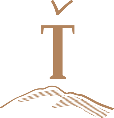 TOROARI logo
