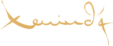 Xeninda Art & Illustrations logo
