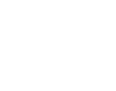 Seiiki Art Studios® logo