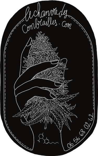 le chanvre des combrailles logo