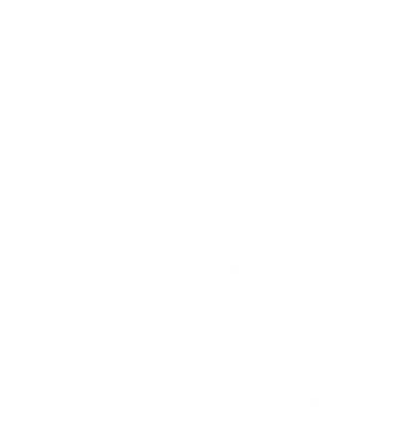 Albert Junior Consulting logo